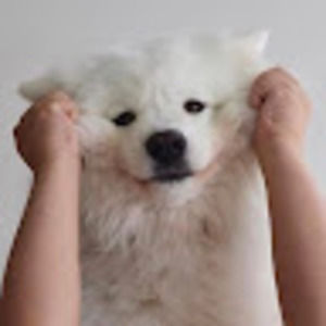 Meet your Posher, Claire